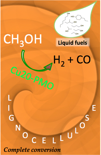 Conversion of Non-Food Woody Biomass solids to organic liquids