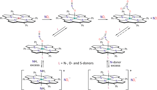 Nitrite and nitrate complexes of manganese porphyrin