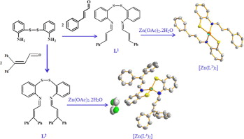 Zn(II) complexes with N2S2 Schiff base ligands