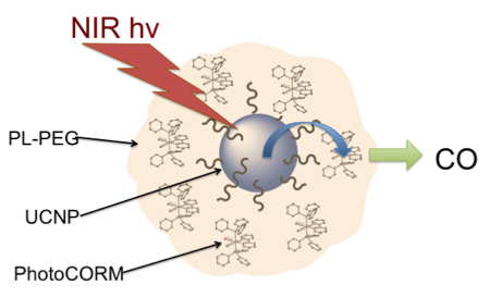 NIR sensitive photoCORM in nanocarrier