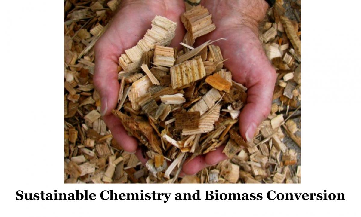 A renewable feedstock: wood chips