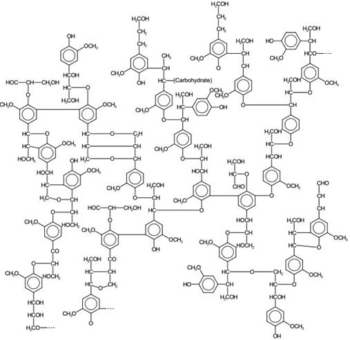 The structure of lignin. 